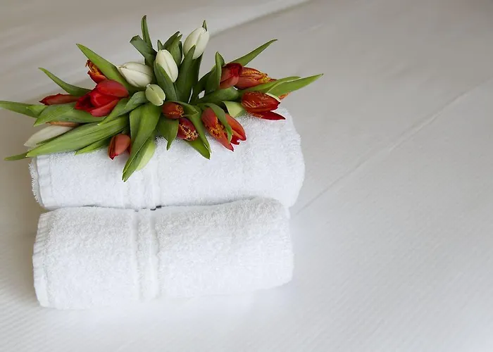 Maritime ロッテルダム